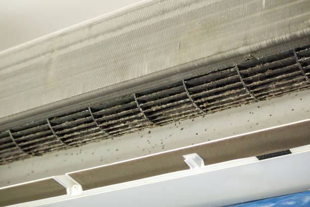 Best Residential Air Duct Cleaning  in Blue Island, IL